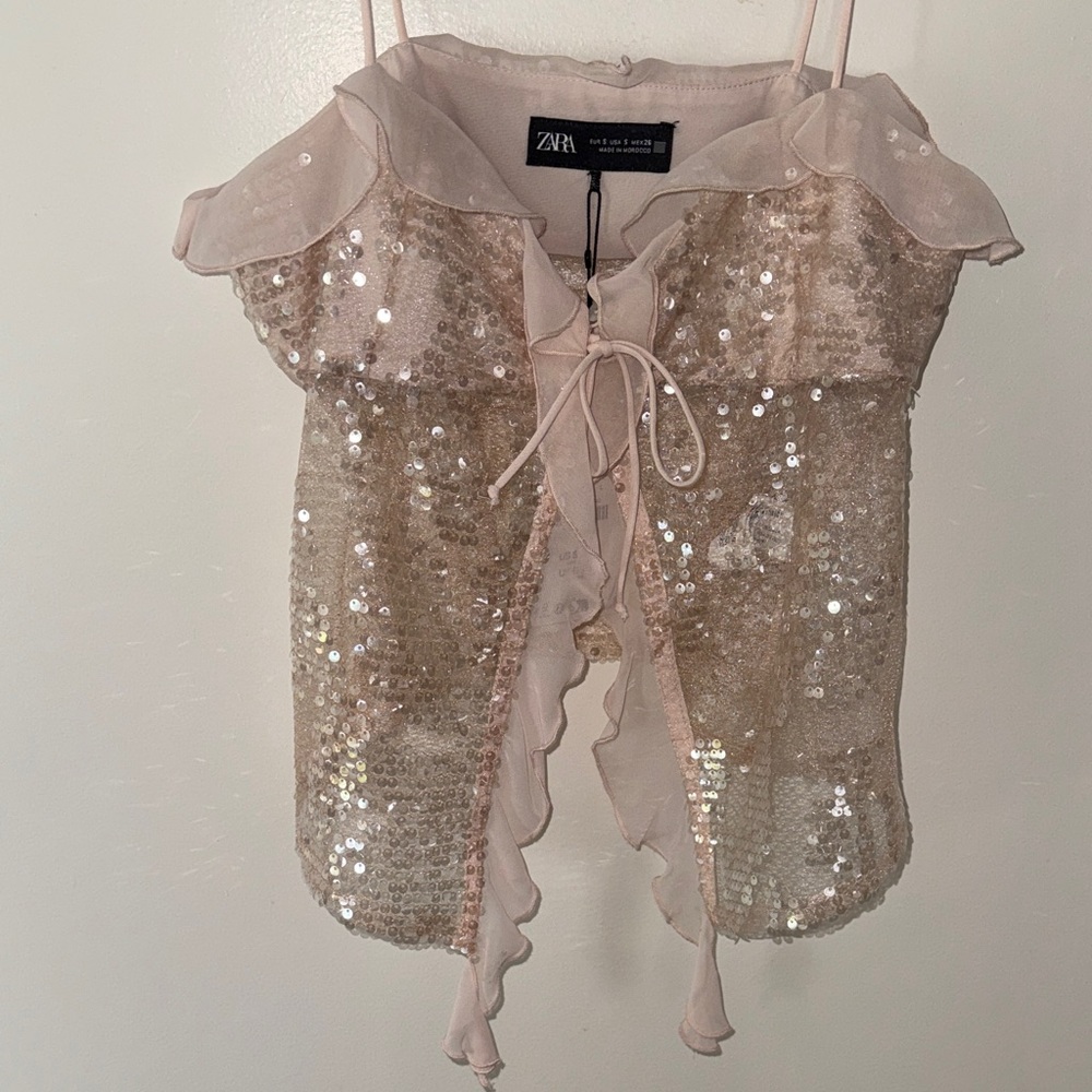 Zara Blush Sequin Top
